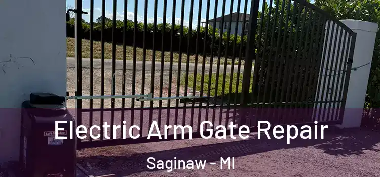 Electric Arm Gate Repair Saginaw - MI