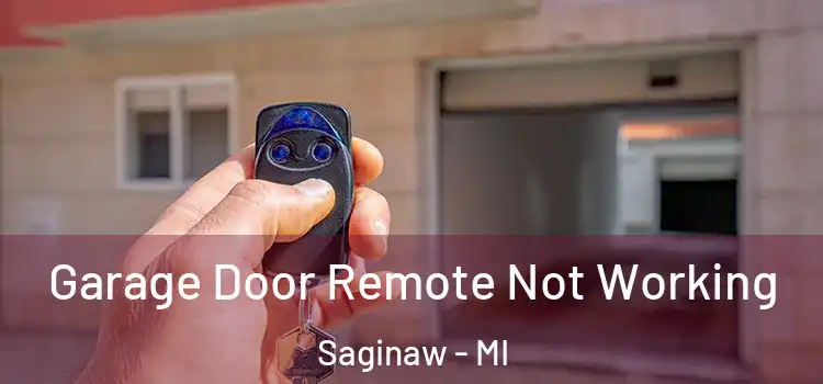  Garage Door Remote Not Working Saginaw - MI