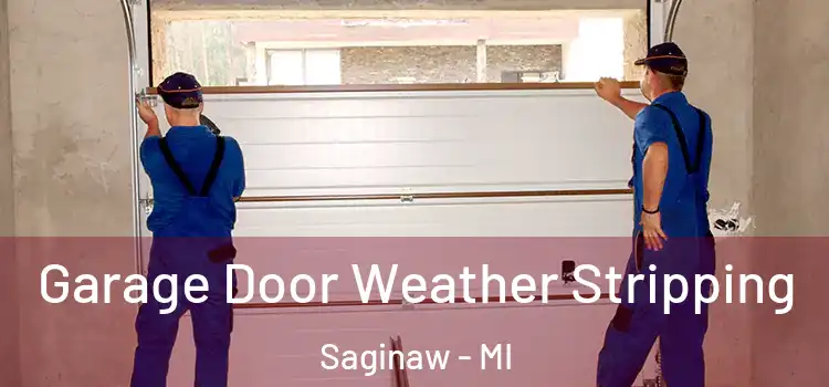  Garage Door Weather Stripping Saginaw - MI
